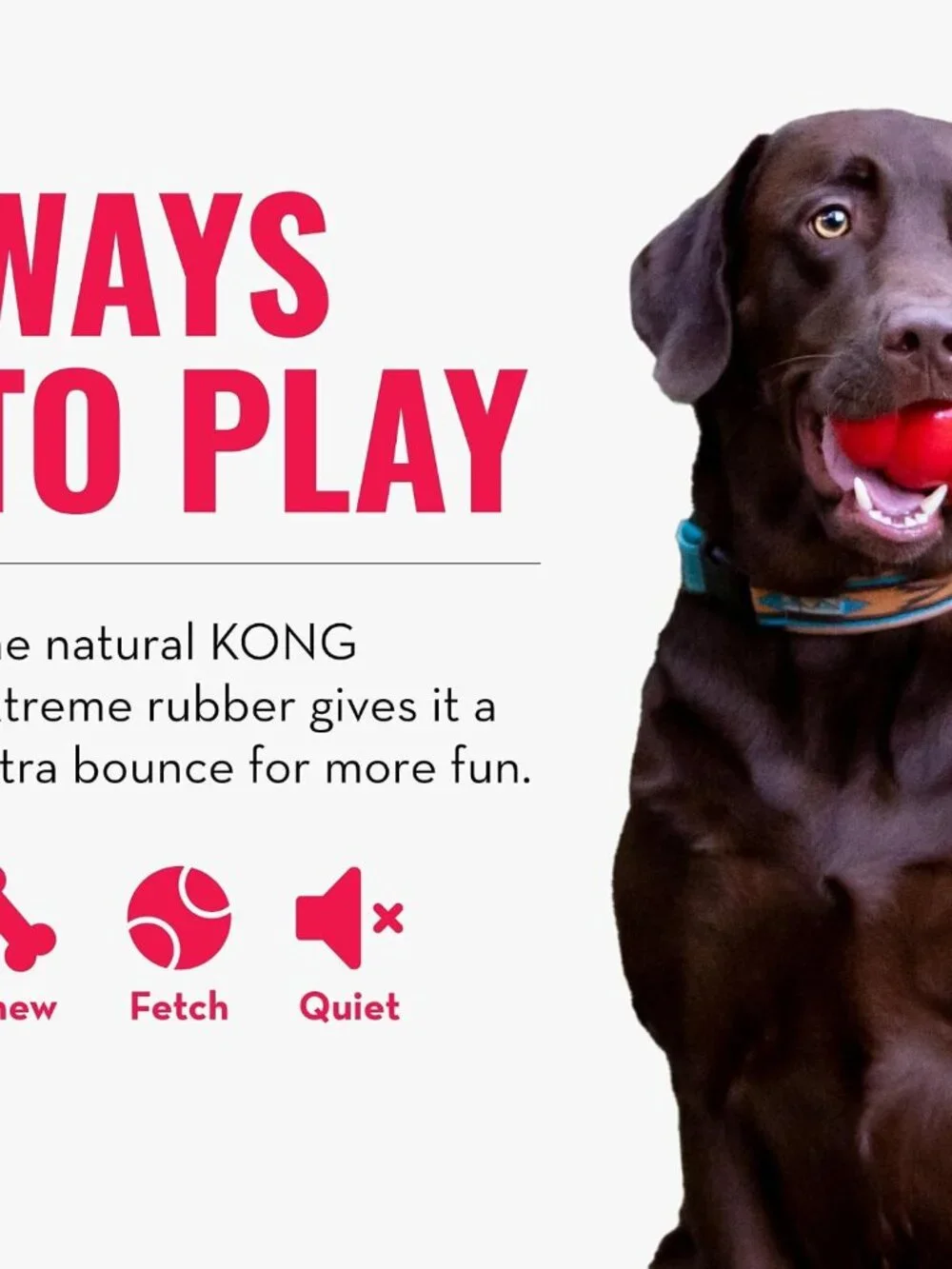 KONG Extreme Ball with Hole Dog Fetch Toy M/L Durable Natural Rubber Black